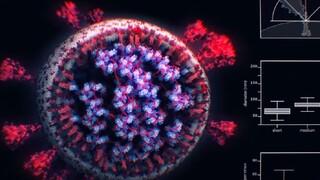 Ako vlastne vyzerá koronavírus? S pomocou Slovákov vytvorili 3D projekt