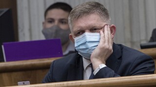 Smer pomôže Hlasu zbierať podpisy na referendum, rozošle petície