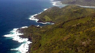 Objavili najmenšieho plaza na zemi, nano-chameleón loví roztoče