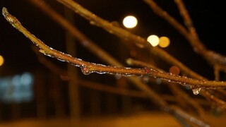 Cestári sa takmer nezastavili, vodičov trápila poľadovica