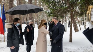 Ciele Vyšehradskej štvorky sa podarilo naplniť, vyhlásila Čaputová