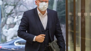 Sulík o odchode Nicholsonovej z SaS: Je to prehnaná reakcia