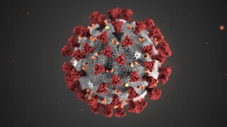 Čo musíte vedieť o troch najznámejších mutáciách koronavírusu