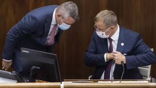 V krajine niečo nie je v poriadku. Politici hovorili o smrti Böhma