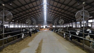 Protesty sa odkladajú, dotácie malým farmárom vyvolávajú polemiku