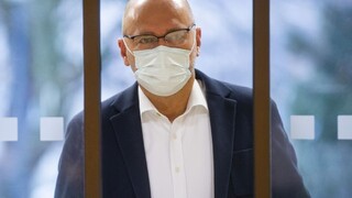 Je to hlúposť. Sulík kritizuje, že Matovič chce meniť plán obnovy