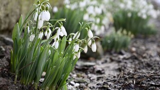 Zažili sme extrémne teplý deň. Teploty sa vyšplhali vysoko