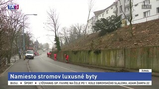 Stromy padli pre výstavbu bytového domu. Ozývajú sa aktivisti a obyvatelia