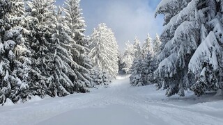 FOTO našich čitateľov: Rozprávkový výhľad a túra bielym lesom