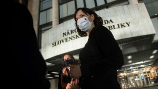 Takto sa pracovať nedá. Bez boja sa však neodchádza, hovorí Remišová