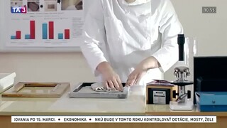 Na Ukrajine vymysleli spôsob, ako vyrábať papier z lístia