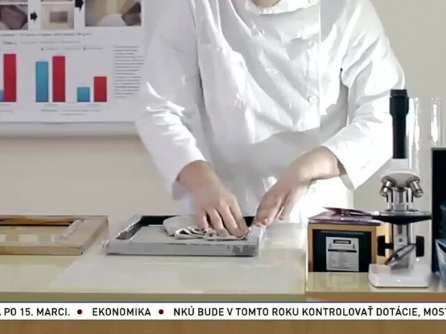 Na Ukrajine vymysleli spôsob, ako vyrábať papier z lístia
