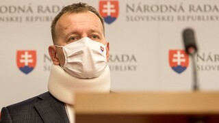 Čo by zmenil odchod Sulíka alebo Matoviča? Sme rodina má vo vláde iný cieľ