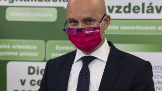 Operatívna nočná mora. Analytik zhodnotil rok ministra školstva