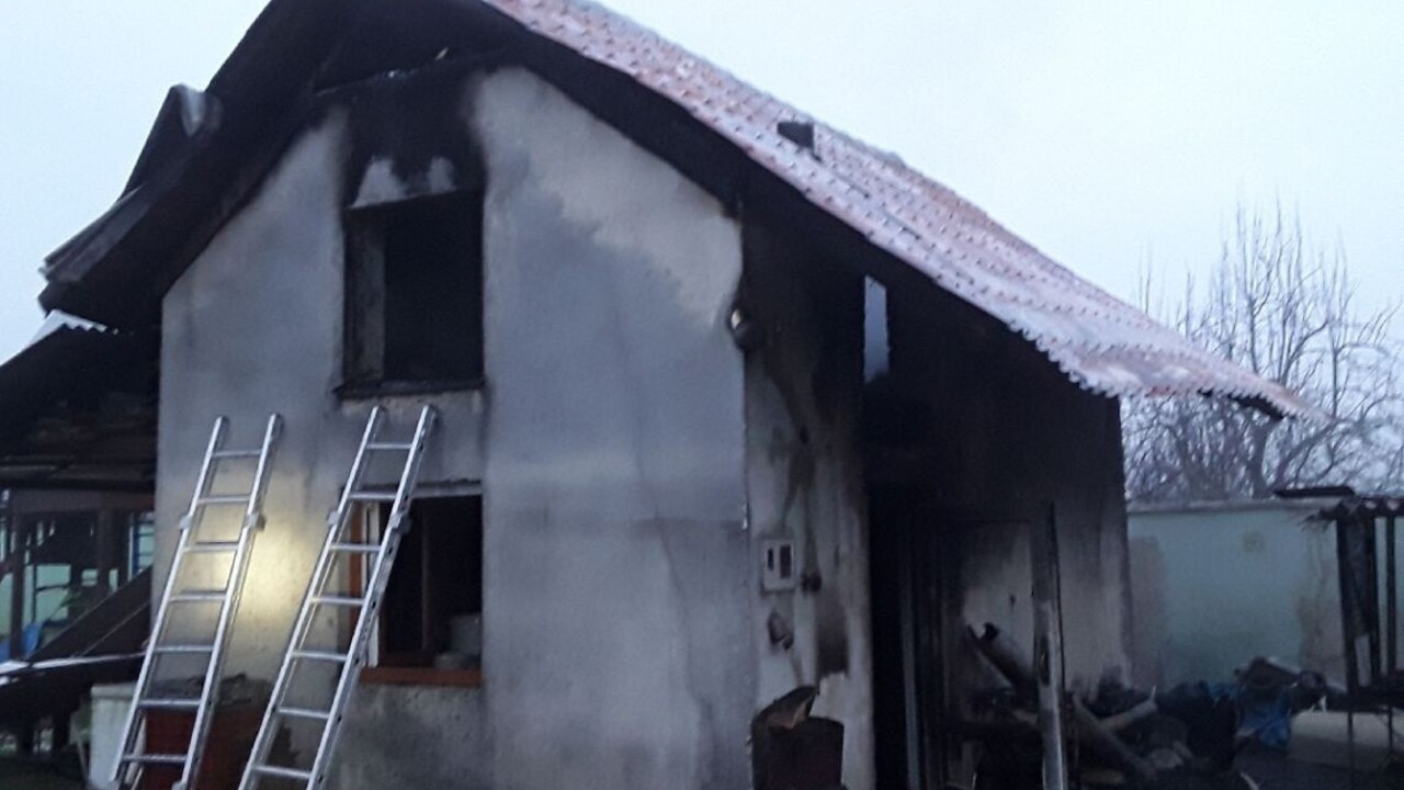 Hasičov prekvapil pri požiari trojmetrový krokodíl nílsky