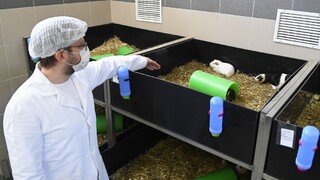 Dobrá správa, testovanie Sputnika na myšiach bolo úspešné