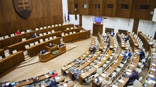 Vyhrážkam čelia viacerí poslanci, niektorí sa boja aj o rodinu