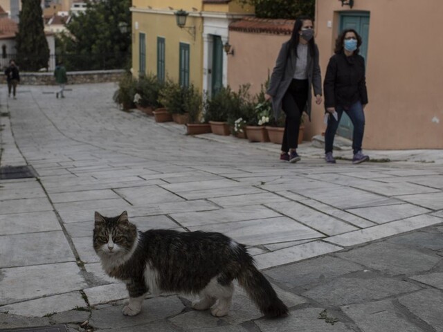 Mutácie spustili tretiu vlnu, Európa má už milión obetí nákazy