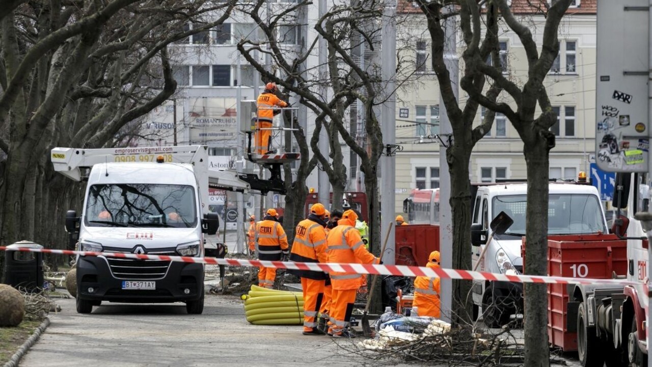 Strom za strom. Hlavné mesto sa prispôsobuje zmene klímy