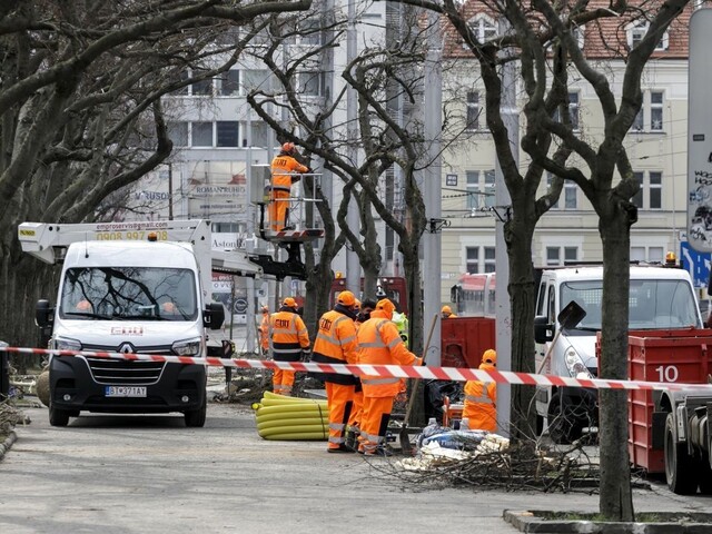 Strom za strom. Hlavné mesto sa prispôsobuje zmene klímy