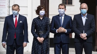 Premárnené príležitosti. Politológ hodnotí rok Matovičovej vlády