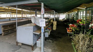 Trhoviská dostali zelenú, predajcovia však musia regulovať pohyb zákazníkov