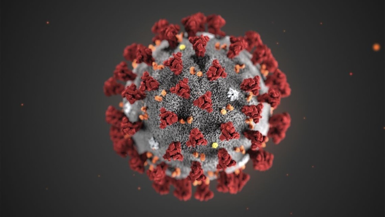 Súboj vírusov. Vedci zistili, čo môže z tela vyhnať SARS-CoV-2