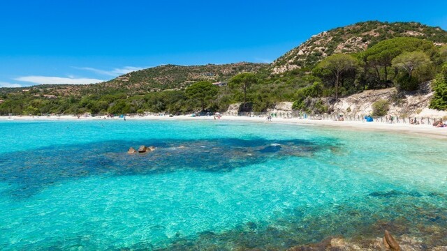 1-korzika-depositphotos-118560014-original-palombaggia-beach_0a140371-af64-614a.jpg