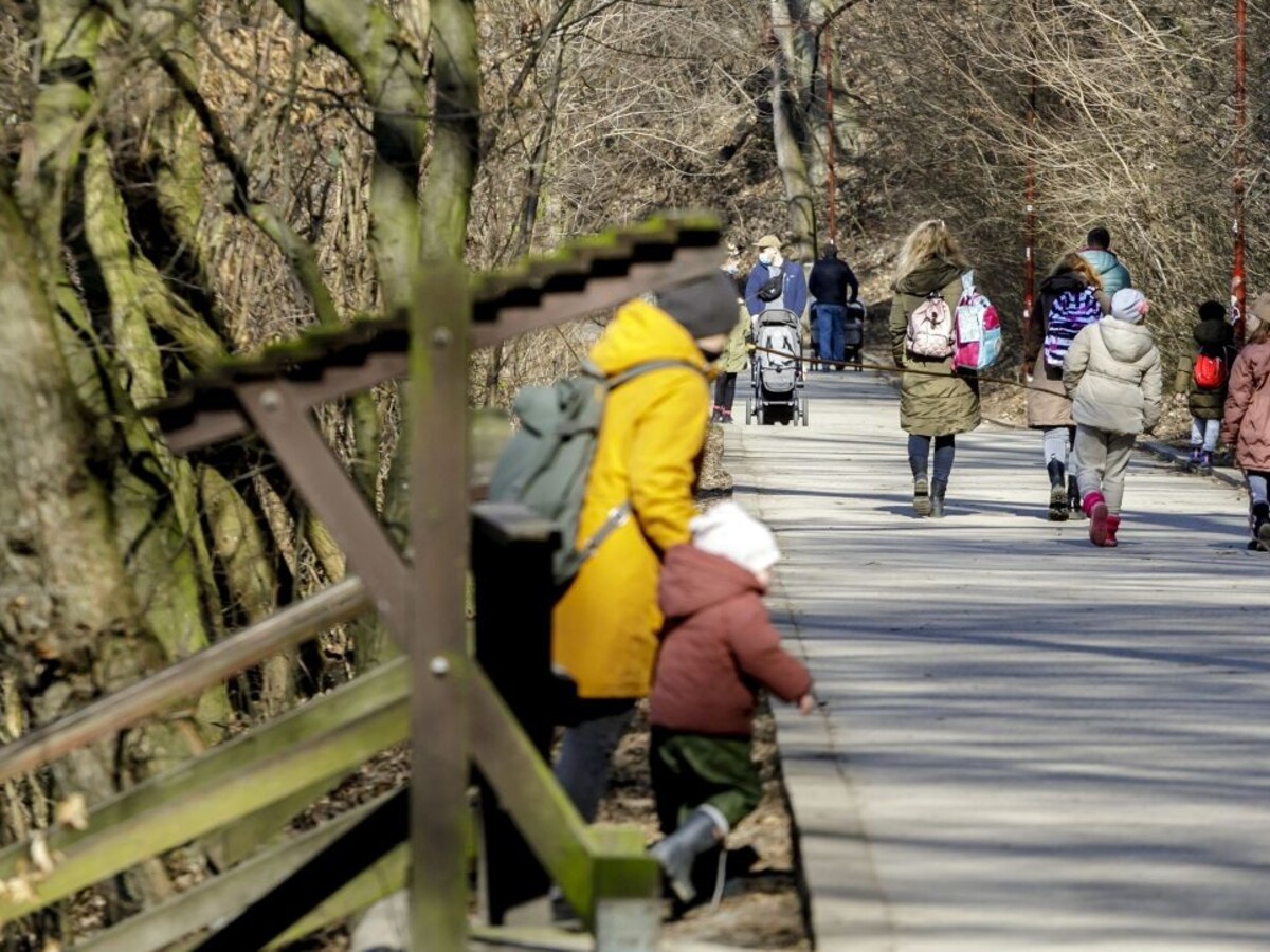príroda Bratislava železná studnička jar počasie 1140px (TASR/Dano Veselský)