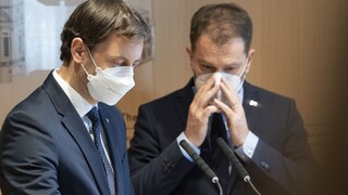 Heger zhodnotil svoje šance na čele vlády. Ako to vidí s Matovičom?