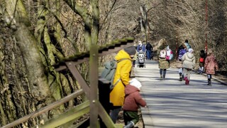 Na Železnej studničke vypukol požiar, zasiahli desiatky hasičov