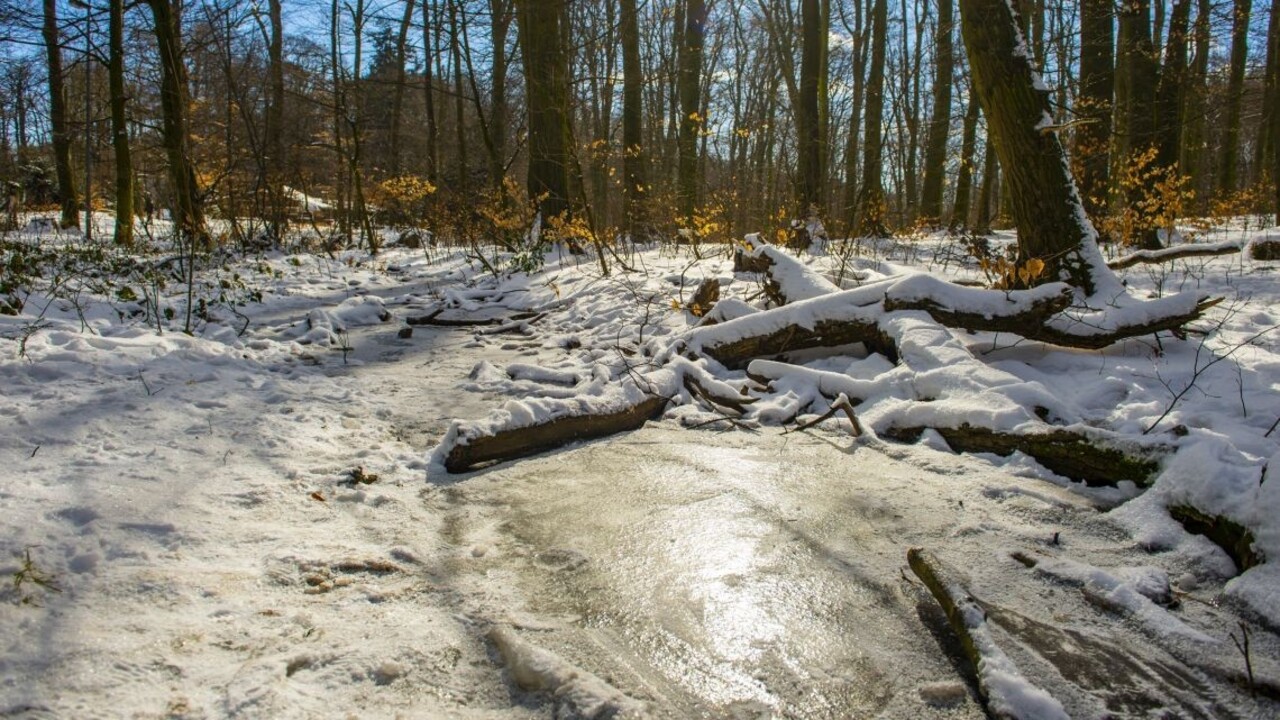 Zimy sú čoraz teplejšie. Slovensko môže byť o 30 rokov iné