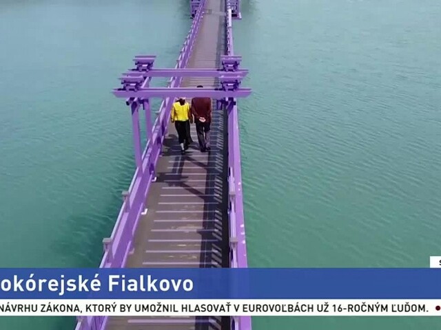 Juhokórejské Fialkovo/ Južná Kórea čelí demografickej kríze