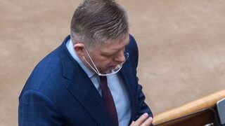 Fica zaujíma, aký Sputnik Matovič doviezol. Žiada mimoriadnu COVID schôdzu