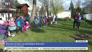 Ovocné stromy na školských dvoroch