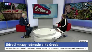 Ovocinárov trápia mrazy. Úroda je ohrozená, stúpnuť môžu aj ceny