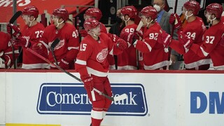 NHL: Pánik strelil prvý gól za Detroit, hviezdou bol jeho český kolega