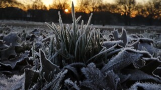 Pozor na nízke teploty a mráz. Výstrahy platia pre celé Slovensko