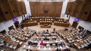 Heger žiada o dôveru parlamentu, nie všetci ho podporia