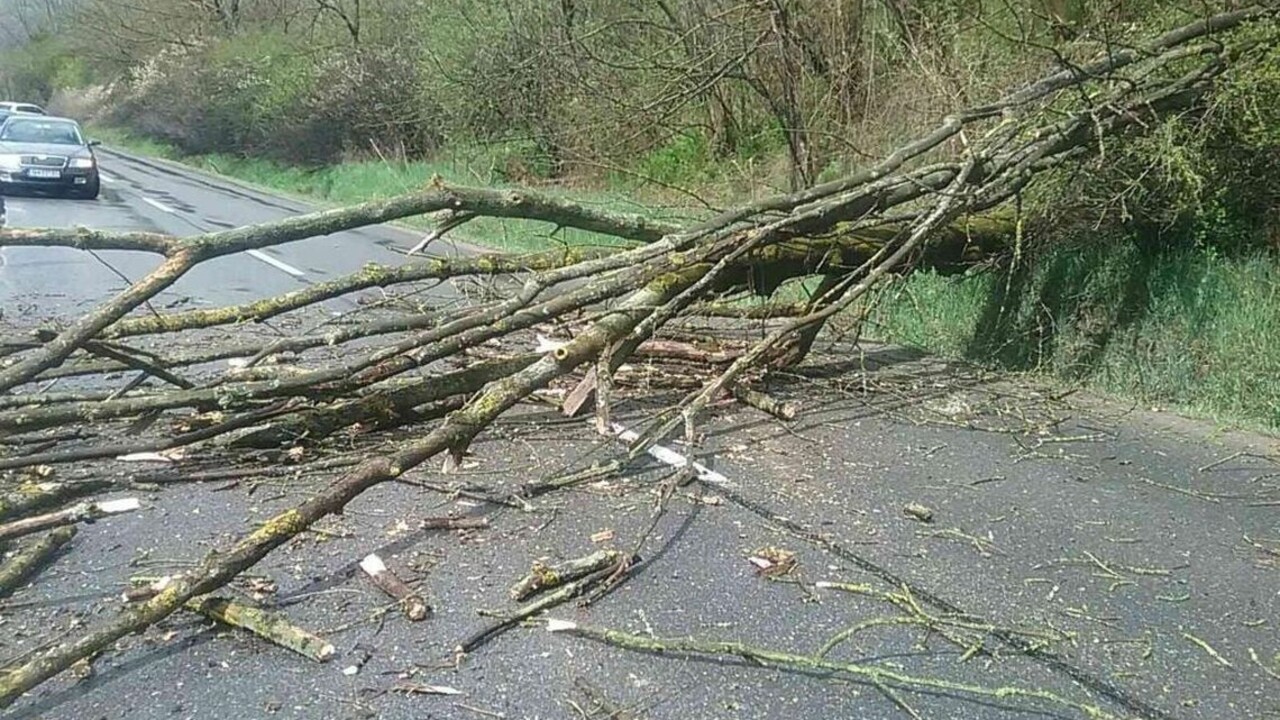 Silný vietor robí škody, hasiči odstraňujú stromy z ciest i áut