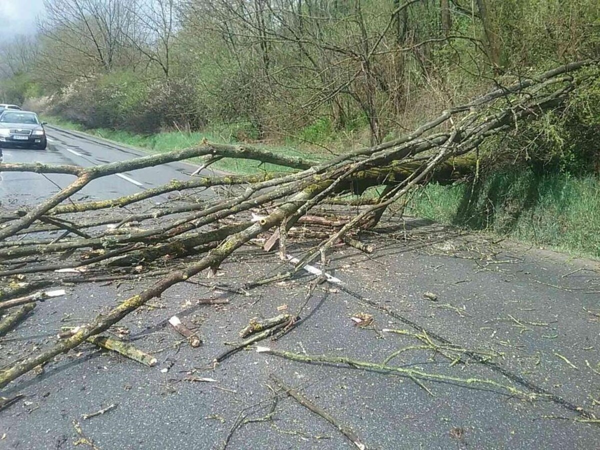 Silný vietor robí škody, hasiči odstraňujú stromy z ciest i áut