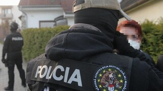 Češka prevážala detských migrantov zo Slovenska do Prahy. Zatkli ju