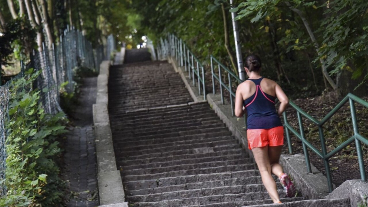 Ohavný čin. V bratislavskom Horskom parku niekto spílil 15 dubov