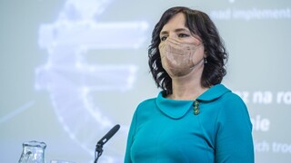 Kríza pre kolúznu väzbu? Remišová ostro skritizovala návrh Sme rodina