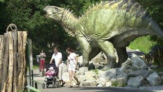 Dinopark zrejme dočasne zavrú. Prevádzkovateľa o to požiadala ZOO