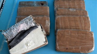 V odpadkových košoch našli kokaín za milión eur. Ukrytý bol v prepravkách s banánmi