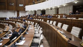 V parlamente chcú vznik priateľov menšín, skupina zvýši kvalitu legislatívy
