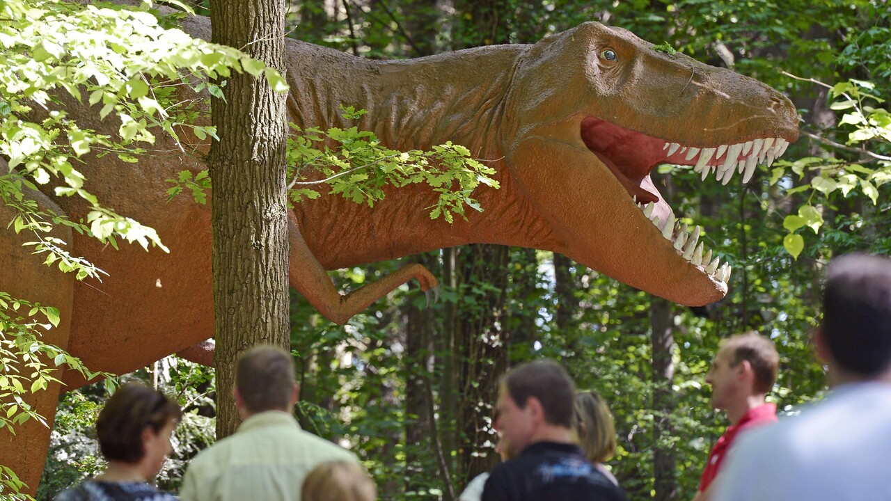 Prevádzkovateľ Dinoparku sa bráni: Neodčerpávali sme ZOO peniaze