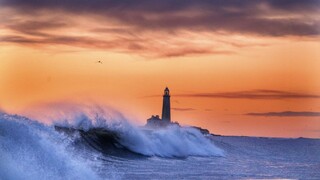 Vlasy z kaderníctiev nemusia skončiť na skládke. Briti nimi čistia ropné škvrny na mori