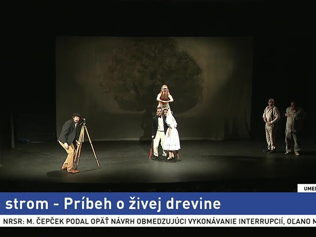 Pán strom - Príbeh o živej drevine / Operná Viedeň má novú hviezdu / Pálffyho palác opäť uvítal umenie / Namiesto štetca používa špongiu / Na kávičke s Jánom Gallovičom